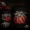 arachnid-banner.jpg